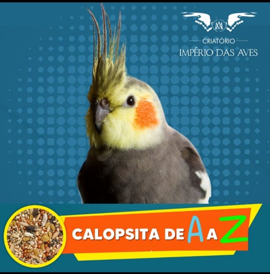 Calopsita de A a Z