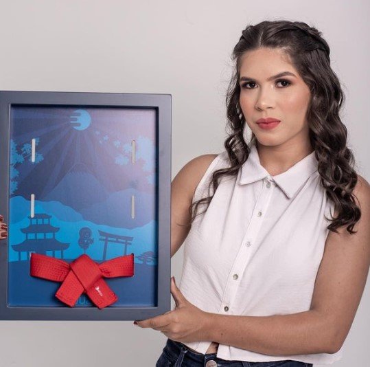 MVO - Método Viver Online